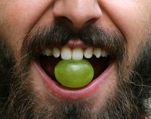 Portrait of bearded man with grape in his mouth
