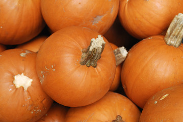 A pile of pumpkins in preparation for Halloween