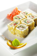 Japanese Cuisine - Maki Sushi