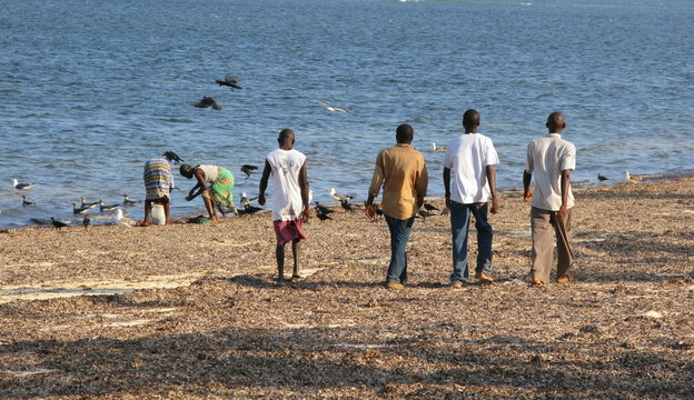 Africa