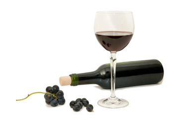 Vino 23
