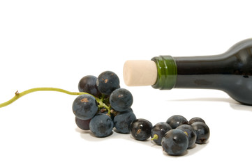 Vino 24
