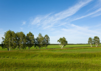 beautiful landscape and cloudy sky