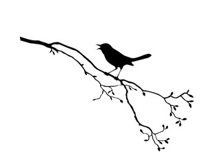 silhouette of the bird on branch tree