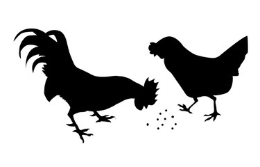 silhouette of the cock with hen on white background