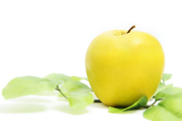 manzana
