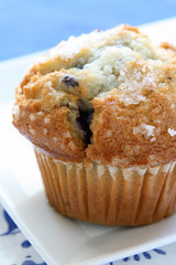 Blueberry Muffin
