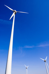 Fototapeta premium Windpark 16