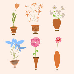 plant set