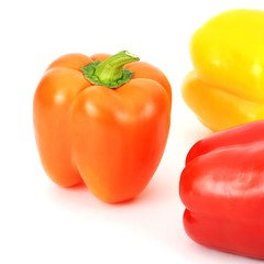 Colorful pepper pattern