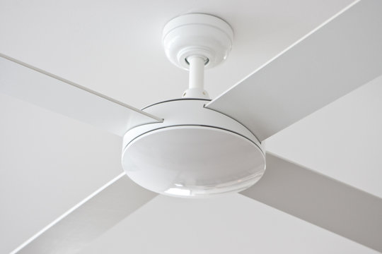White Fan