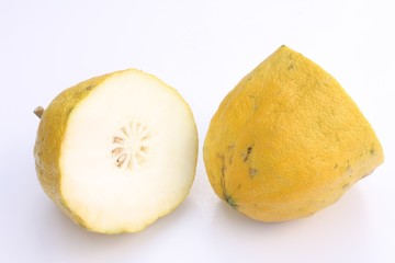yellow citron / 香橼