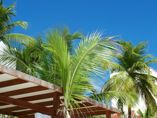 Fototapeta premium St Martin - Philipsburg