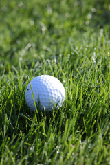 balle de golf dans l herbe