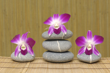 Fototapeta na wymiar Beautiful orchid on gray stone on bamboo mat