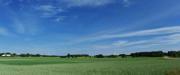 Farmland