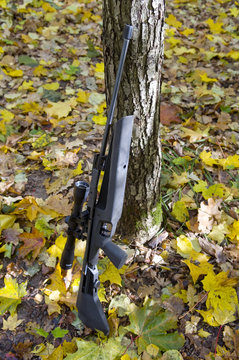 Gun pneumatic in autumn wood.