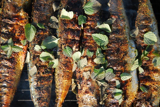 smoked mackerel