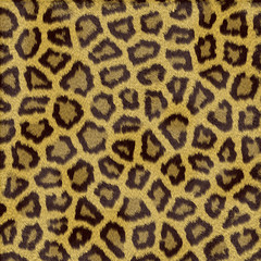 Leopard fur texture