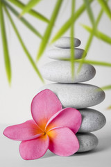 Fototapeta na wymiar Zen kamienie i bambusa Kwiat