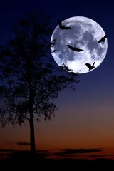 Foto auf Acrylglas Vollmond und Bäume Mond