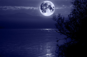 Fototapeta na wymiar blue moon
