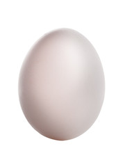 Egg isolated