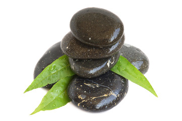 Spa stones and green leaves