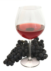 Glas Wein mit Trauben