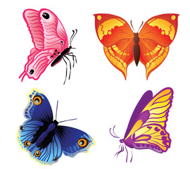 butterflies set