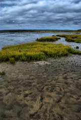 Storm at low tide