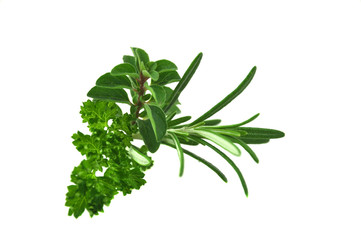 Rosemary, Parsley and Oregano