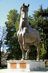 Cavallo di Leonardo 2a