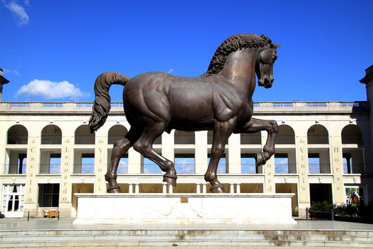 Cavallo di Lenoardo 3a