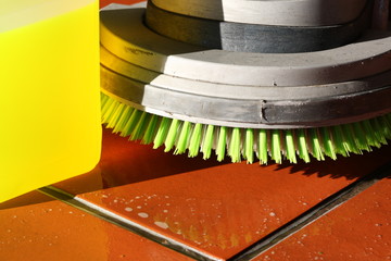 monobrosse