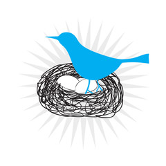 Obraz premium Blue Bird