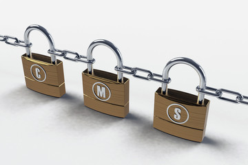 Sicheres CMS