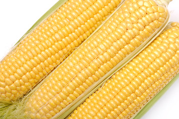 background from the cob of corn