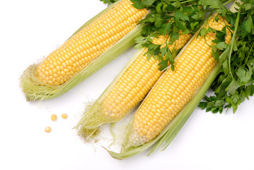 Corn with parsley