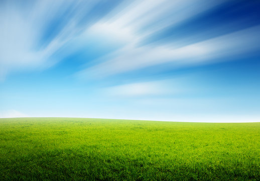 spring field of grass and blured sky