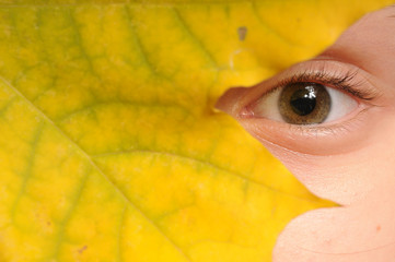Autumn view. Closeup of the eye and leaf