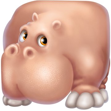 hippo