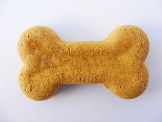 Biscoito Dog