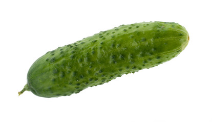 fresh green cucumber