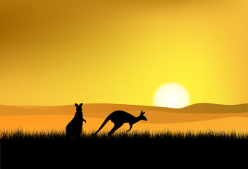Fototapeta na wymiar Sunset, Wild life Australia
