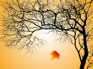 Paesaggio autunnale