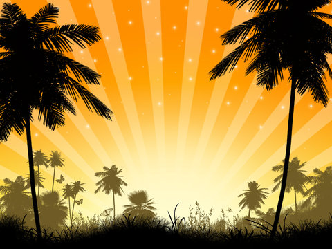 Silhouette of Palm Trees and a Sunset