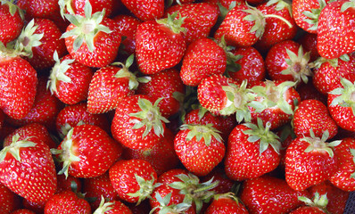 Fresh strawberry