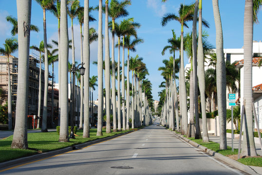 West Palm Beach, Florida, January 2007