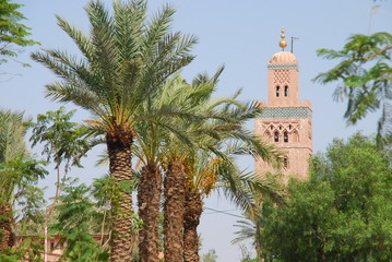 Fototapeta na wymiar La koutubia en Marrakech